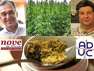 marijuana-terapeutica-toscana-ha-una-legge-stupefacente-non-applicata