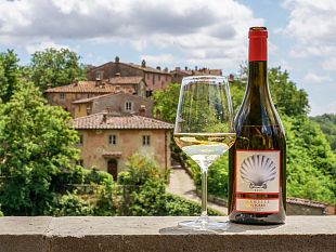 lamelle-igt-toscana-2021