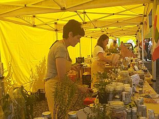 codice-rosso-per-caldo-al-mercato