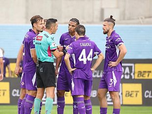 viola-la-rabbia-non-si-ferma