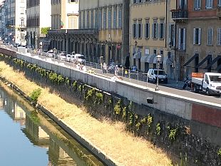 lavori-lungarno-corsini-sara-chiuso-fino-a-novembre