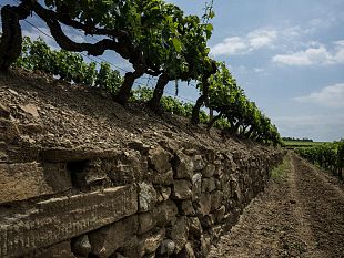 oreno-celebra-i-suoi-20-anni-di-storia