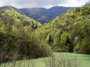 a810031409-parco-delle-foreste-casentinesi-escursioni-arte-cultura-e-i-primi-colori-dell-autunno