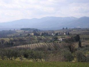 rignano-approvato-il-bilancio-di-previsione-2020-2022