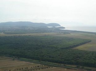 b111111503-ricorso-ecologista-contro-la-variante-mattonara-della-tenuta-di-rimigliano