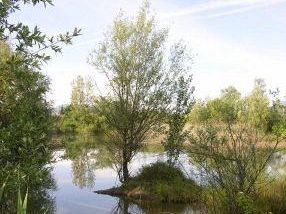 a705031441-una-riserva-naturalistica-integrale-al-parco-dei-renai