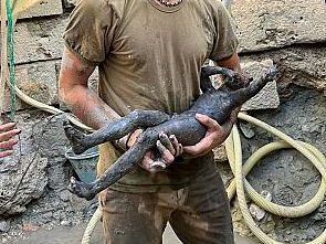 importanti-rinvenimenti-archeologici-a-san-casciano-dei-bagni