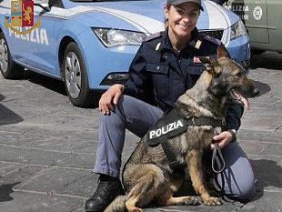 cane-poliziotto-fuori-servizio-fiuta-droga-in-unauto-parcheggiata