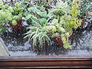 firenze-allerta-temporali-fino-alle-18-di-giovedi-11-giugno