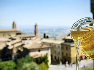apicoltura-approvate-azioni-per-migliorare-il-miele-toscano