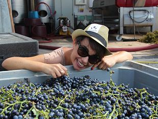cantine-aperte-in-vendemmia-edizione-dedicata-ai-piccoli