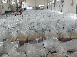 referendum-2022-1-milione-e-mezzo-di-schede-a-firenze