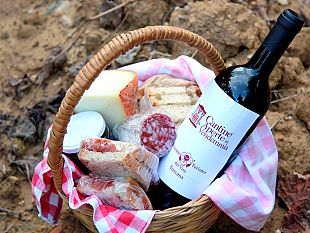 vendemmia-in-toscana-settembre-con-cantine-aperte