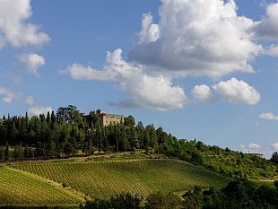 brave-le-aziende-che-accendono-litalia-su