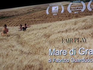 cinema-mare-di-grano-di-fabrizio-guarducci