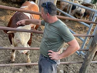 unaltra-tragedia-sulle-strade-toscane-a-causa-dei-cinghiali