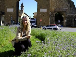 facelia-amica-delle-api-ce-anche-a-firenze