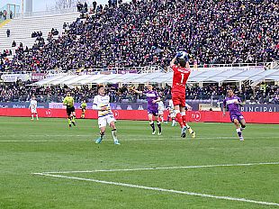 viola-prima-partita-con-la-cremonese-a-firenze