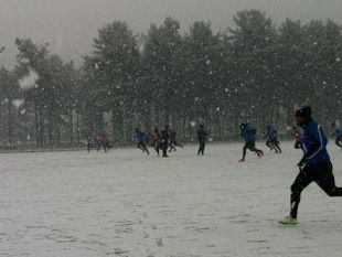 fiorentina-atalanta-domenica-8-febbraio-alle-1230