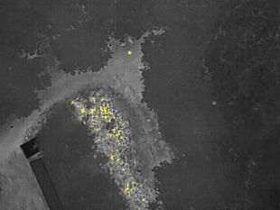 ritrovato-di-notte-grazie-al-drone-anziano-scomparso-a-monte-san-savino