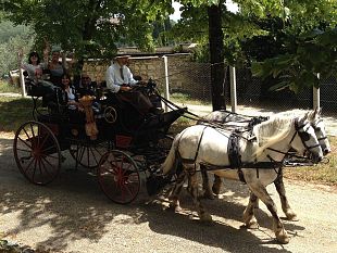 i-salotti-di-firenze-capitale-ultime-repliche-e-viaggi-in-carrozza