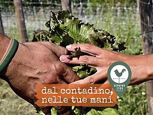 visite-ed-eventi-contadini