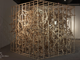 murate-cina-piu-vicina-grazie-allarte-contemporanea