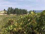 il-i-palio-del-bardiccio