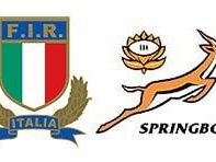 a911211529-di-puccio-italia-sudafrica-persa-una-grande-occasione