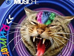 a812121443-musica-rumors-concorso-musicale-della-regione-toscana
