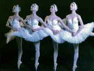 a502071233-pisa-martedi-8-febbraio-ore-21-al-teatro-verdi-il-russian-national-ballet