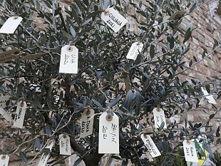 covid-i-nomi-dei-1000-morti-fiorentini-come-foglie-di-ulivo