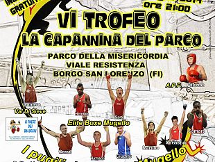 domenica-dedicata-alla-boxe-dilettanti