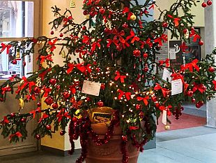 un-super-albero-di-natale-allingresso-dellospedale