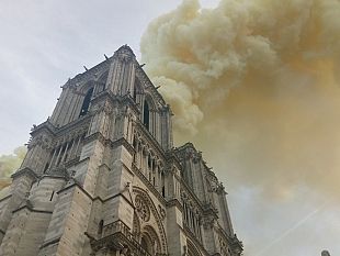 notre-dame-da-firenze-opera-di-santa-maria-del-fiore-offre-aiuto