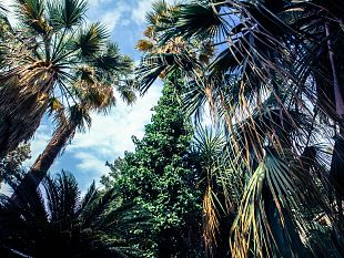 orto-botanico-corsini-eventi-culturali-open-air