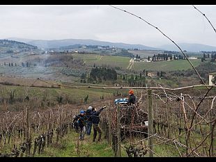 scuola-contadina-gratis-nella-tenuta-di-mondeggi