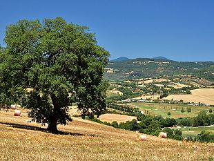 post-covid-19-la-ricostruzione-della-toscana