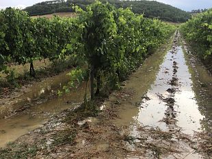 maltempo-grandine-oggi-sui-vigneti-dellimpruneta