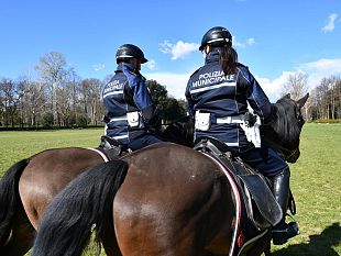festa-della-polizia-municipale-oggi-la-cerimonia-a-palazzo-vecchio