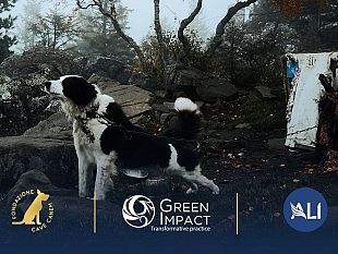 vietato-in-toscana-tenere-cani-a-catena-fino-al-30-settembre-2022