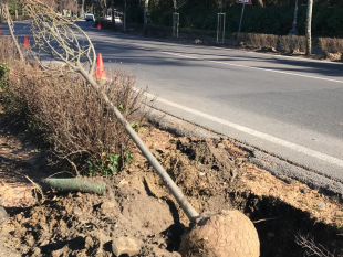 firenze-nuovo-progetto-di-mitigazione-climatica-e-forestazione-urbana
