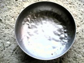 canile-del-termine-esaurite-le-scorte-di-cibo