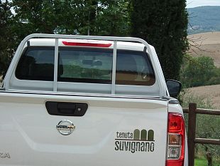 il-campo-estate-liberi-a-suvignano