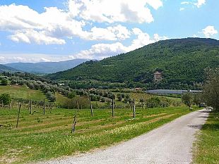 intervento-di-ricerca-sulle-colline-di-fiesole