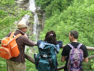 un-bus-navetta-da-contea-al-parco-foreste-casentinesi