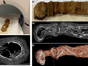 una-mummia-di-gatto-sotto-la-tac