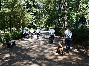 nello-scova-droga-in-zona-fortezza