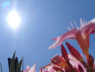 caldo-a-firenze-codice-rosso-fino-a-venerdi-26-luglio