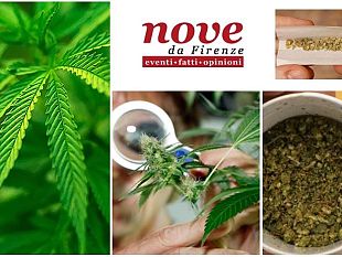 conciliare-il-sonno-in-maniera-naturale-il-cbd-e-derivati